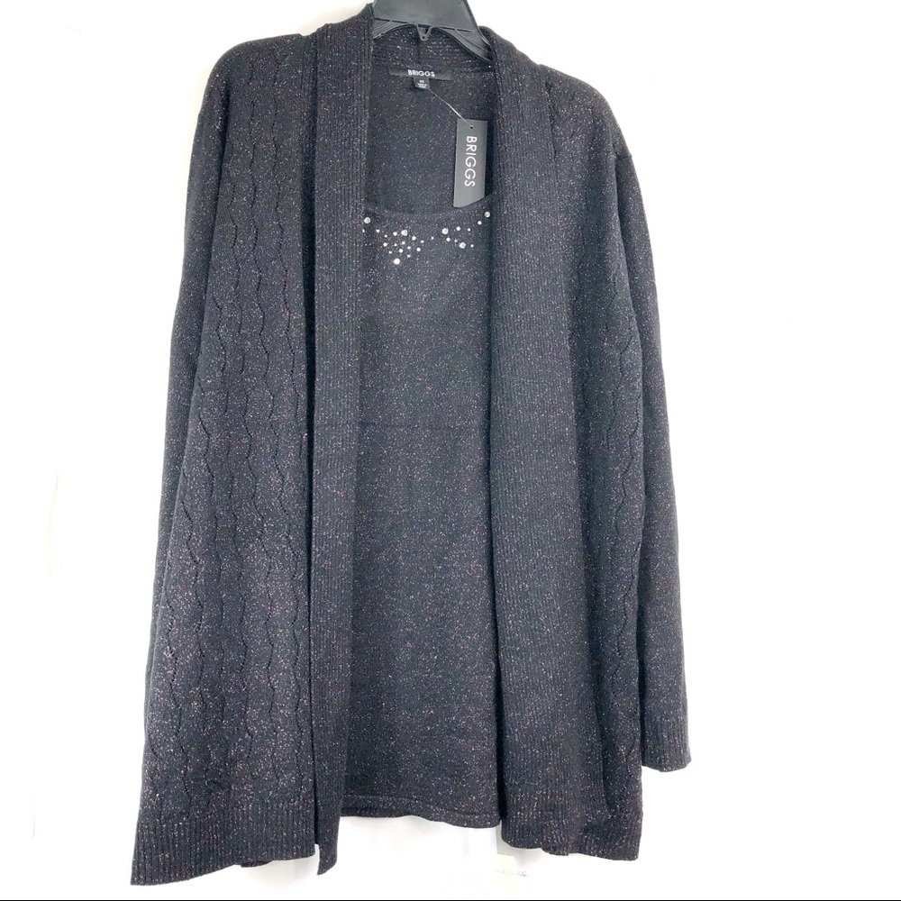 Briggs Black Sweater Size 2X